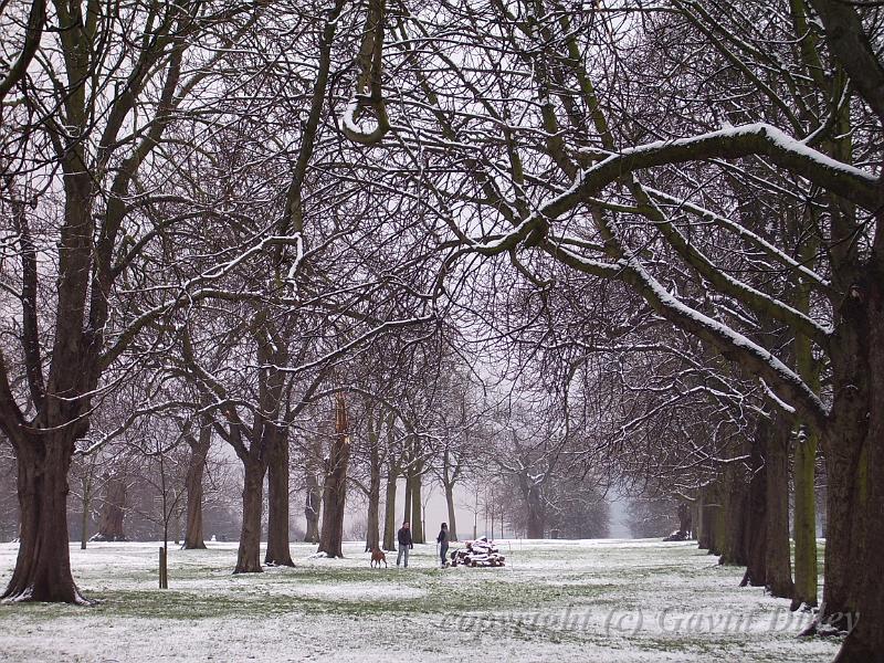 Snow, Greenwich Park IMGP7590.JPG